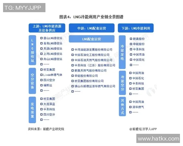 专业分析LNG市场的快速攻势与未来发展趋势探讨