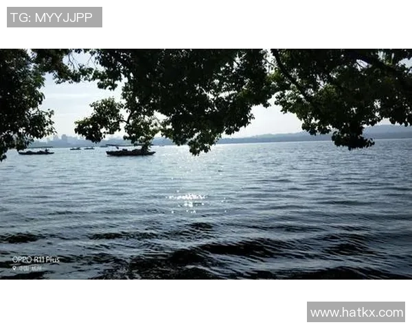 赛后分析:上海羽毛球队与杭州羽毛球队的比赛节奏与战术对比探讨 赛后分析:上海羽毛球队与杭州羽毛球队的比赛节奏与战术对比探讨