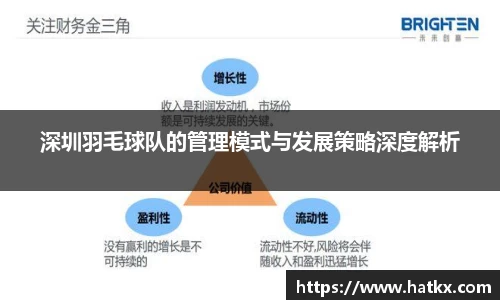 深圳羽毛球队的管理模式与发展策略深度解析